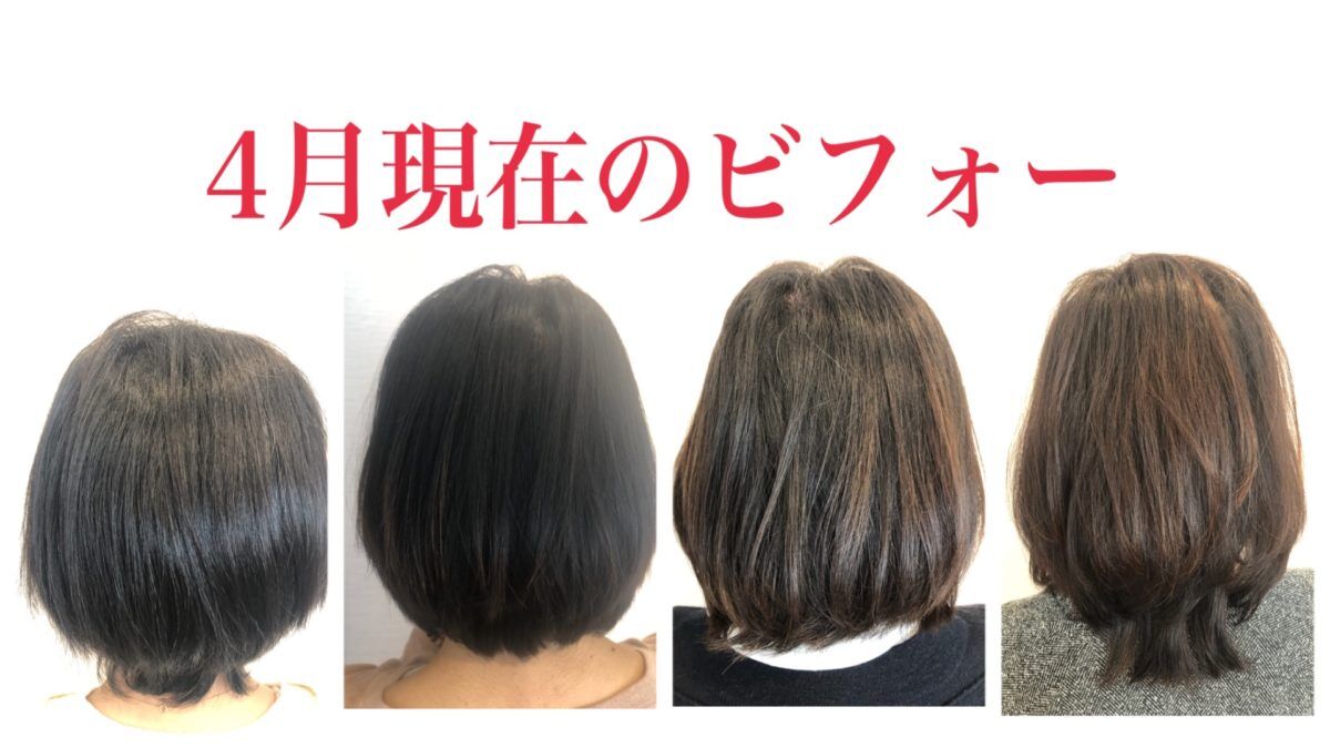 髪質改善プログラム