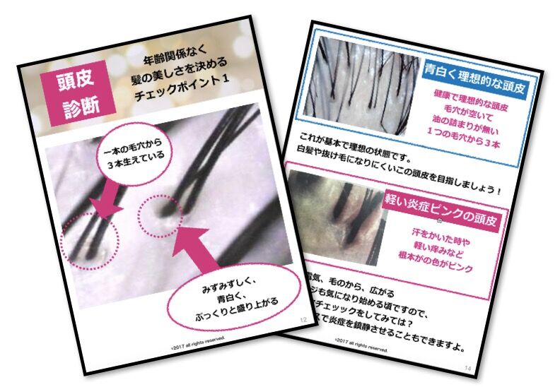 髪質改善プログラム